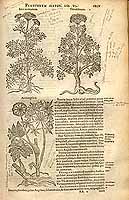  no thumbnail available