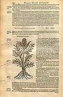  no thumbnail available