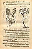  no thumbnail available