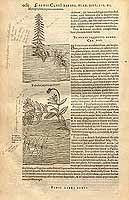  no thumbnail available