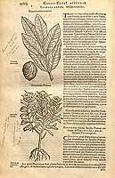  no thumbnail available