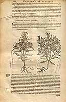  no thumbnail available