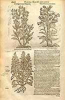  no thumbnail available