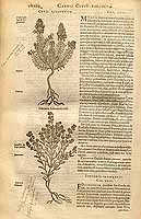  no thumbnail available