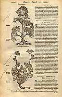  no thumbnail available