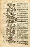  no thumbnail available