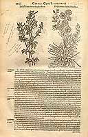  no thumbnail available