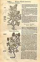  no thumbnail available