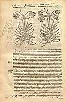  no thumbnail available