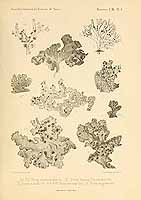  no thumbnail available