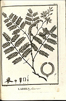  no thumbnail available