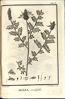  no thumbnail available