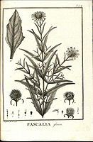  no thumbnail available