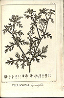  no thumbnail available