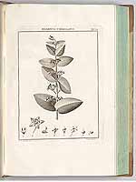  no thumbnail available