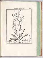  no thumbnail available