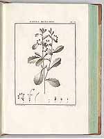  no thumbnail available