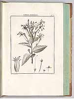  no thumbnail available