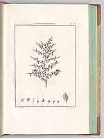  no thumbnail available