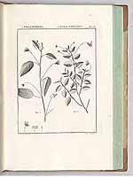  no thumbnail available