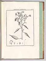  no thumbnail available