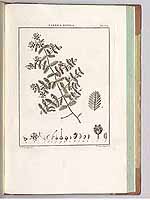  no thumbnail available