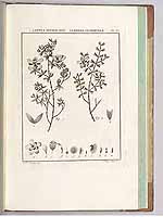  no thumbnail available