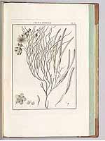  no thumbnail available