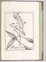  no thumbnail available