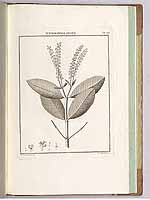  no thumbnail available