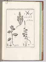  no thumbnail available