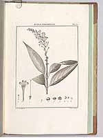  no thumbnail available