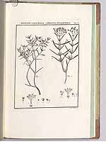  no thumbnail available