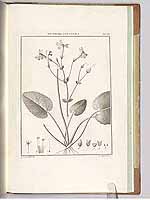  no thumbnail available