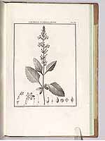  no thumbnail available