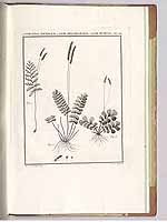  no thumbnail available