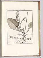  no thumbnail available