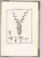  no thumbnail available