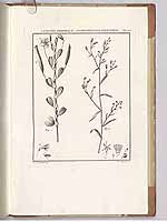  no thumbnail available