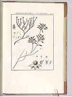  no thumbnail available