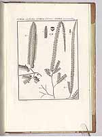  no thumbnail available