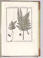  no thumbnail available