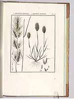  no thumbnail available