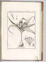  no thumbnail available