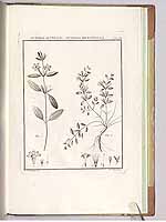  no thumbnail available