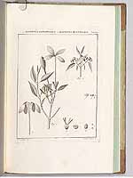  no thumbnail available