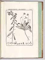  no thumbnail available