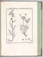  no thumbnail available