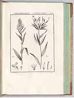  no thumbnail available