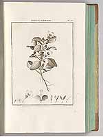  no thumbnail available